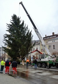 Vánoční stromeček přivezl na náměstí kamion.